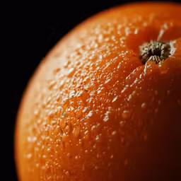 orange on dark with water droplets all around