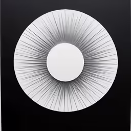 a black and white picture with rays