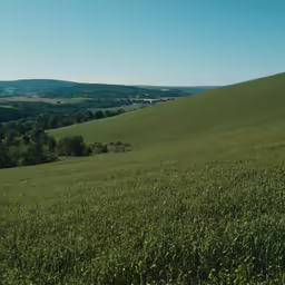 an empty pasture with mountains and fields in the background