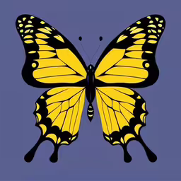 a yellow butterfly flying across a blue sky,a very pretty yellow butterfly with big wings