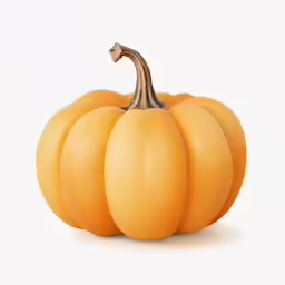 pumpkin on a white background with the top half turned to the side