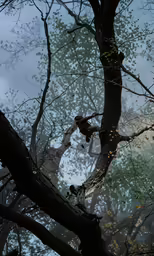 a man standing on top of a fallen tree