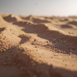 a group of footprints imprint in the sand