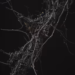the branches and branches with small buds in it are lit up