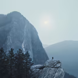 a lone black bird stands on top of a mountain in winter