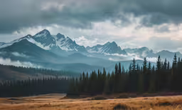 some mountains with trees under cloudy skies