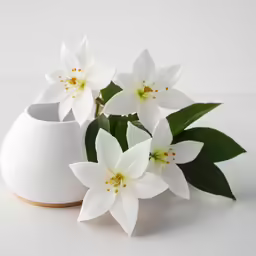 a vase sitting next to a white plant with flowers in it
