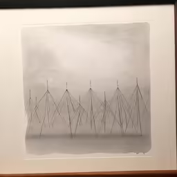 a print that shows lines in black and white