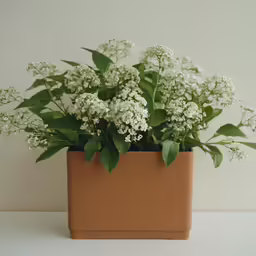 small brown square vase filled with white flowers