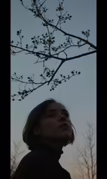 a woman looking up at a tree in the evening