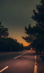 trees line the street on a dark and windy day