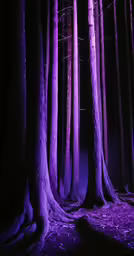 purple lights shine through the trees in a forest