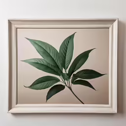 a painting of a green plant is displayed in a white frame