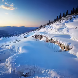 snow covers the ground near rocks and evergreens