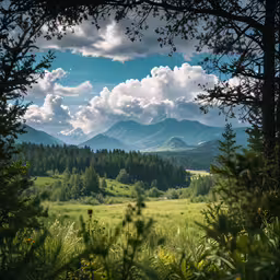 the landscape is made up of green hills and trees