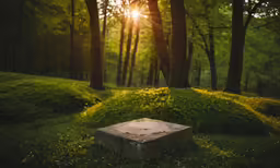 an old box is in a grassy area that appears to be in the woods
