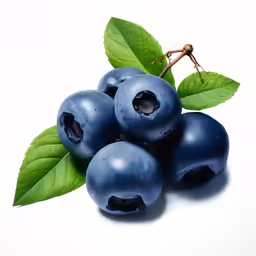 close up of several blueberries with leaves on white background