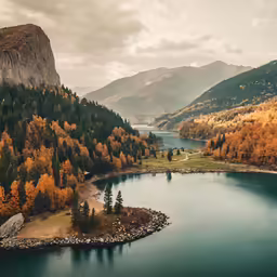 some yellow trees a hill and a body of water