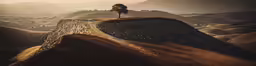 a group of animals walking on top of a hill