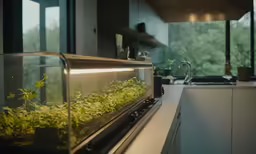 a kitchen filled with lots of green plants