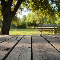 a bench in the distance and a tree near by