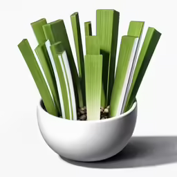 this is an arrangement of green onions in a bowl