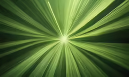 a green, white, and black burst background