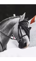 the horse is wearing the head covering over his muzzle