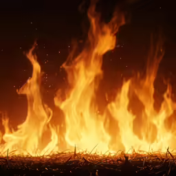 a big fire is blazing in the air