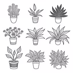 set of various houseplants in pots,pots of different plants are lined up and arranged on a white surface