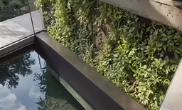 a close up of a small reflecting pool