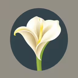 a white flower is displayed in a black circle