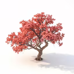 there is a pink flower on this small tree