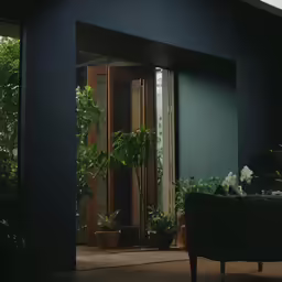 an open door leading into a dark room with plants in pots