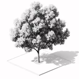 a drawing of a tree on top of a concrete area