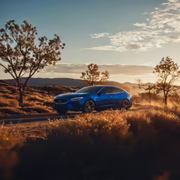 a blue car is parked along side some trees
