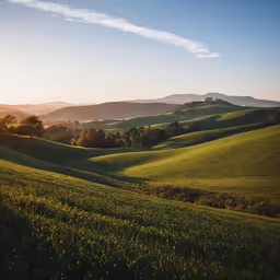 the rolling hills with grass on them and trees in the distance