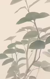a plant in a small bowl that is full of leaves