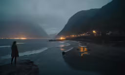 a person is standing on the beach watching the waves