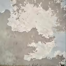 an image of clouds and grass reflected in the puddle