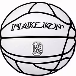 a ball that is sitting on a table,a basketball with the duke logo in black and white,an image of a basketball with the duke logo,an adult size indoor sport ball with the duke logo,a white, black and gray basketball that says team donn