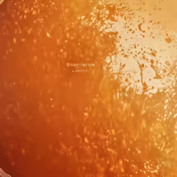 the image has been made with a very large disk