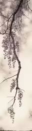 the branch of a tree reflected in the water