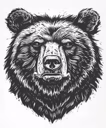 a drawing of a bear face in black and white,an image of a bear head in black and white