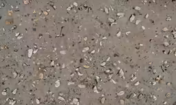 a very dirty surface with rocks and pebbles