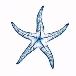 a blue starfish with an abstract pattern on the bottom
