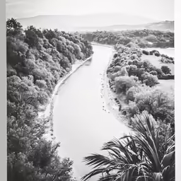 a black and white photo of a river and trees