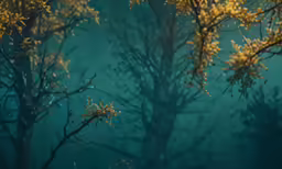 a bunch of trees and some plants with yellow flowers