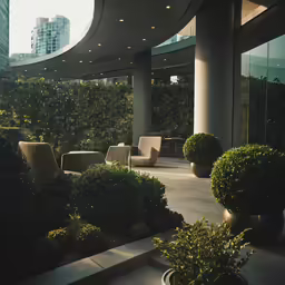 several chairs and couches on a patio near trees