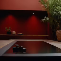 there is a plant near the water and four cans on the floor